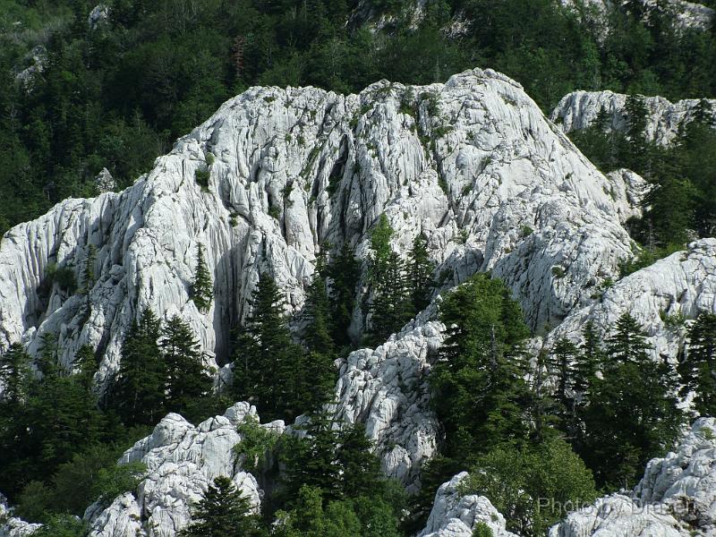DSCF5902.JPG
