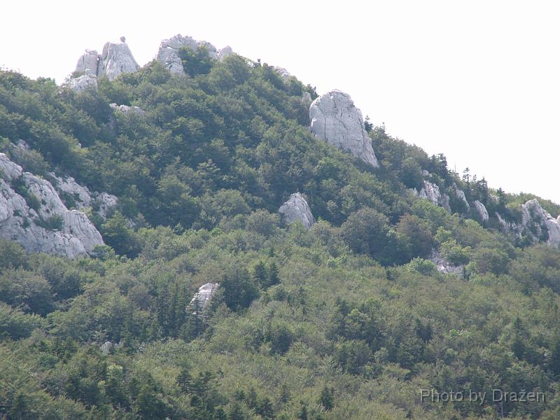 DSCF5903.JPG