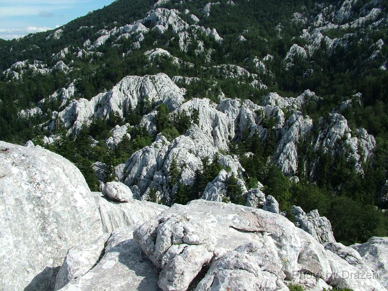 DSCF5918.JPG