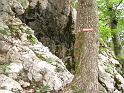 DSCF5759