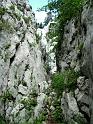 DSCF5798