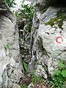 DSCF5799