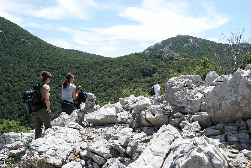 DSC07266.JPG - Mt Velebit - Stap