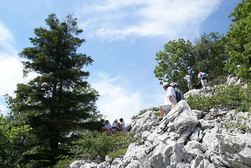 DSC07269.JPG - Mt Velebit - Stap
