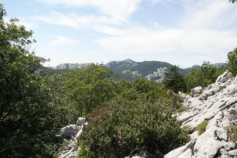 DSC07270.JPG - Mt Velebit - Stap