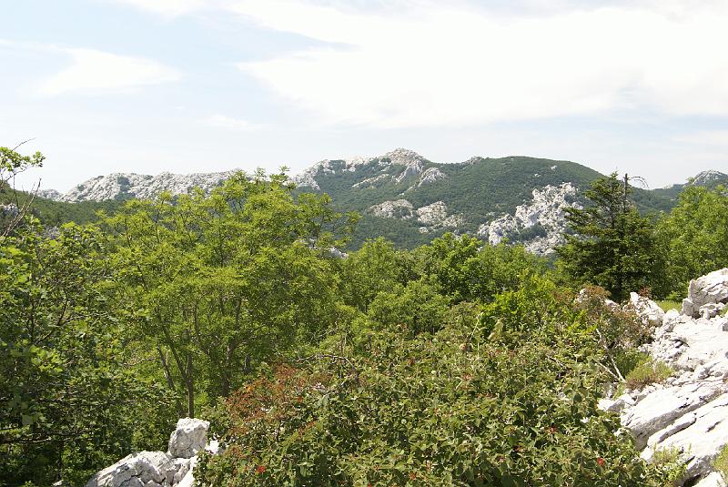 DSC07271.JPG - Mt Velebit - Stap