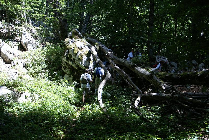DSC07275.JPG - Mt Velebit - Stap