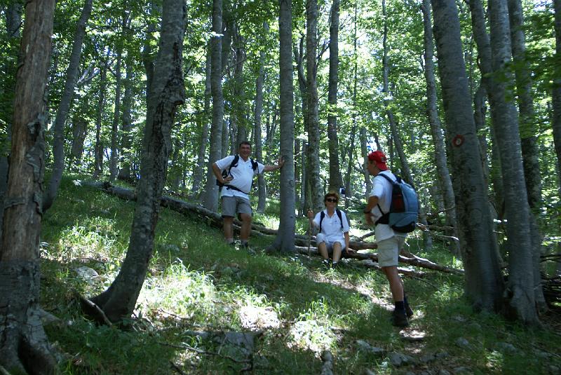 DSC07278.JPG - Mt Velebit - Stap