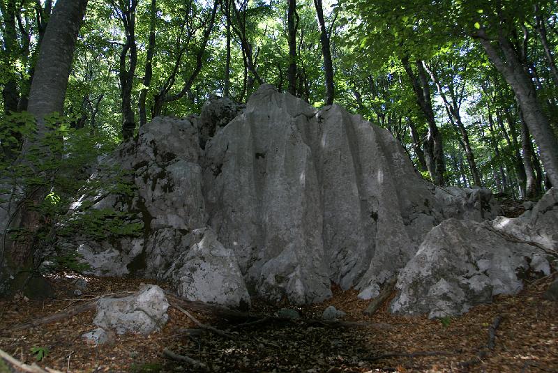 DSC07281.JPG - Mt Velebit - Stap