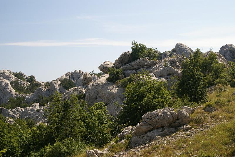 DSC07313.JPG - Mt Velebit - Stap