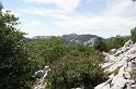 DSC07270