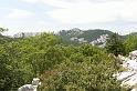DSC07271
