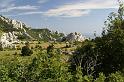 DSC07336