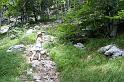 DSC07365